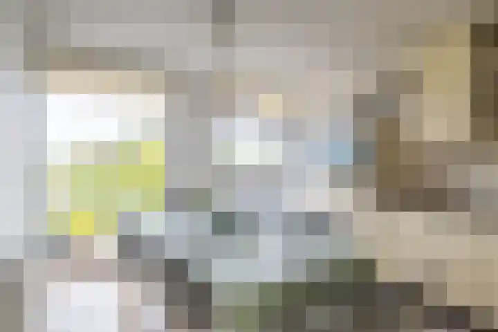 Wendelaarhof 57 Alkmaar thumbnail 13