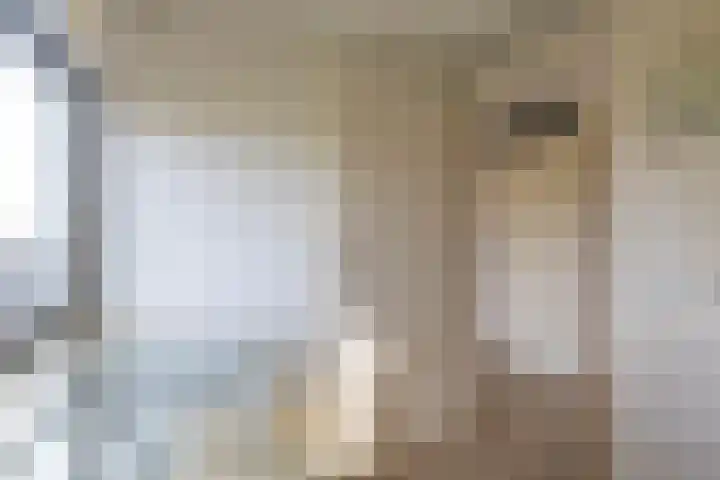 Wendelaarhof 57 Alkmaar thumbnail 23