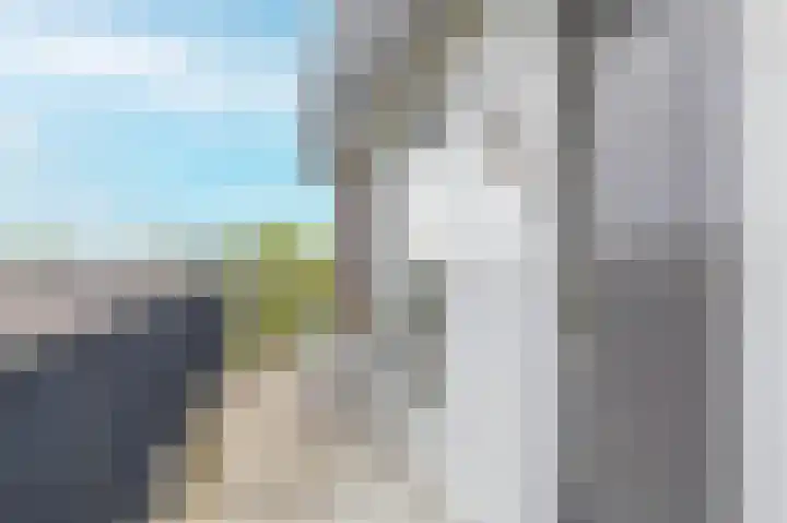 Wendelaarhof 57 Alkmaar thumbnail 26