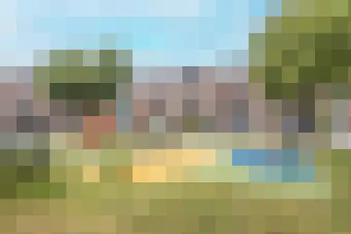 Wendelaarhof 57 Alkmaar thumbnail 31