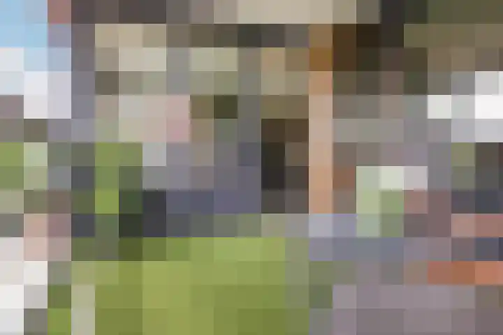 Wendelaarstraat 126 Alkmaar thumbnail 35
