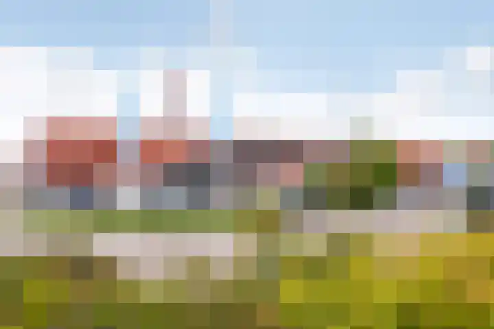 Wendelaarstraat 126 Alkmaar thumbnail 42