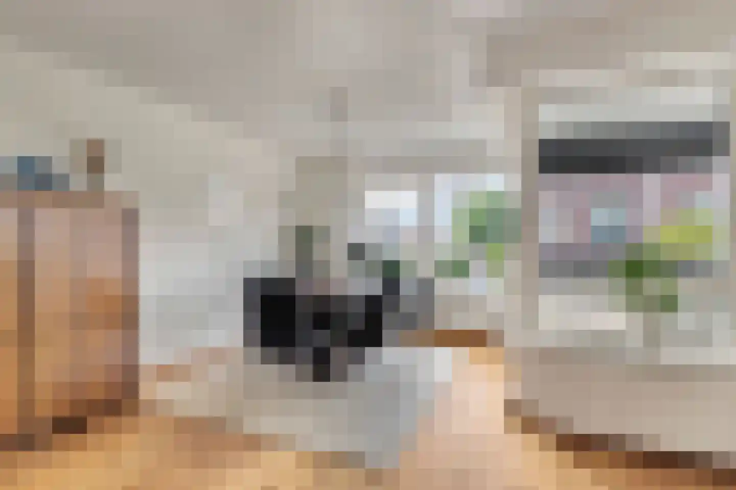 Wendelaarstraat 62 Alkmaar thumbnail 10