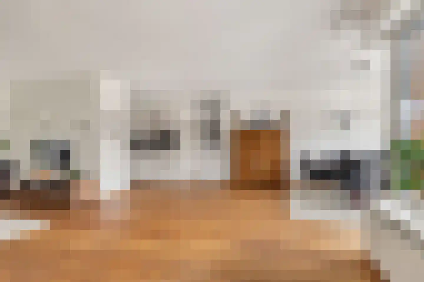 Wendelaarstraat 62 Alkmaar thumbnail 8
