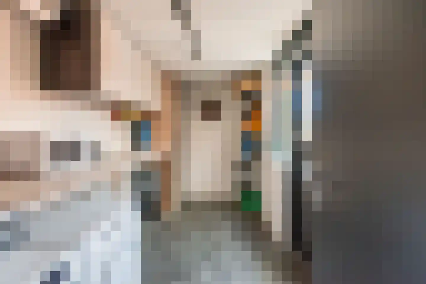 Wendelenkamp 12 Dinxperlo thumbnail 19