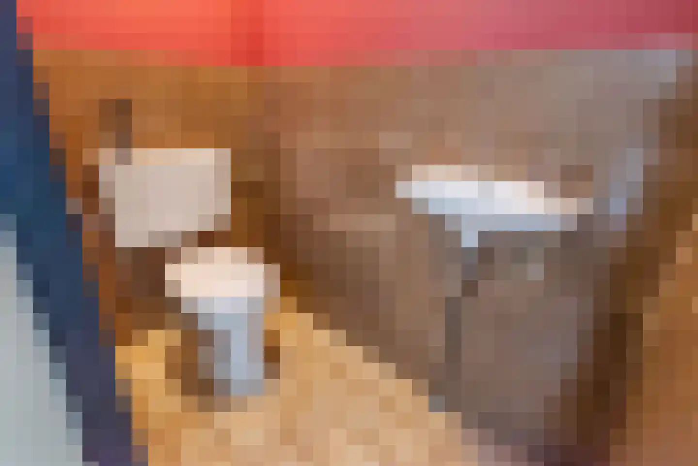 Wendelenkamp 12 Dinxperlo thumbnail 32