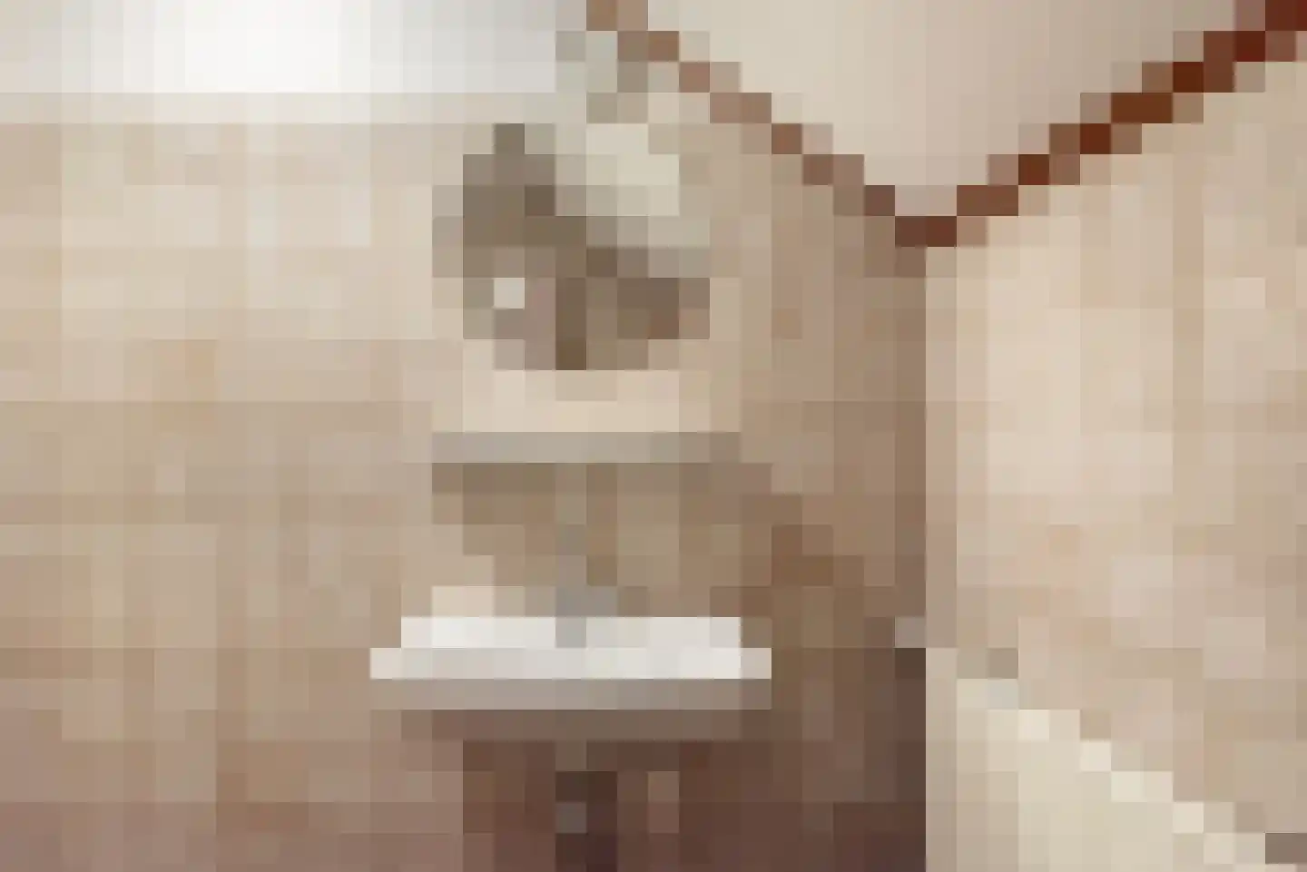 Wendelenkamp 12 Dinxperlo thumbnail 38
