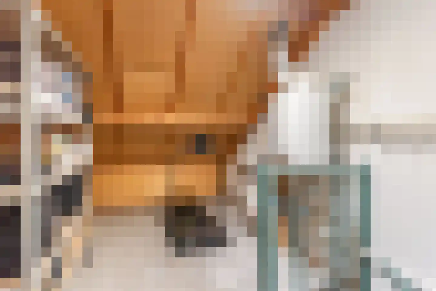 Wendelenkamp 12 Dinxperlo thumbnail 40