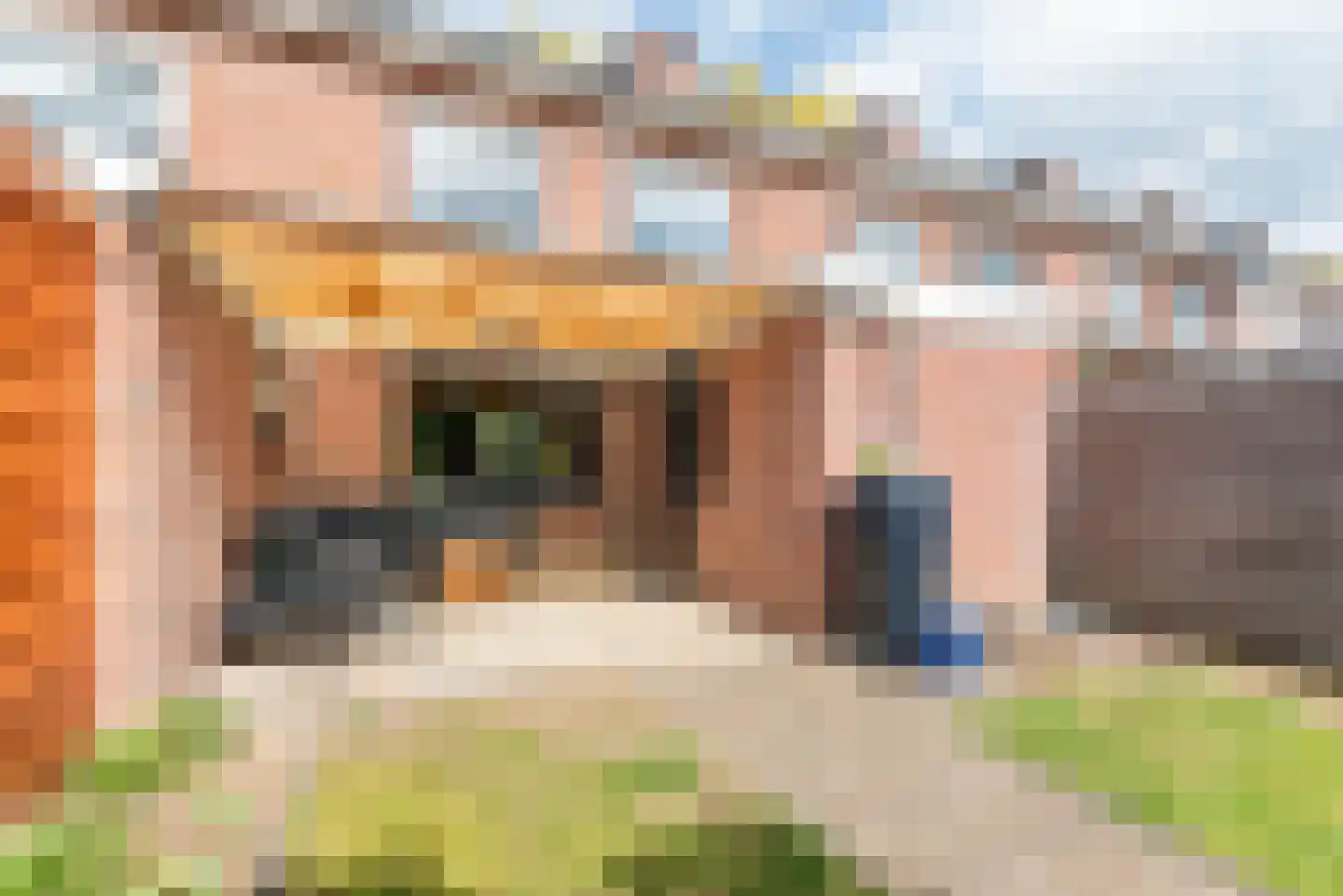 Wendelenkamp 12 Dinxperlo thumbnail 43