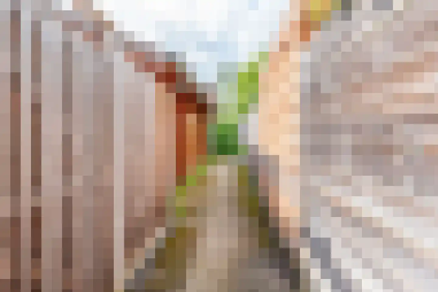 Wendelenkamp 12 Dinxperlo thumbnail 47