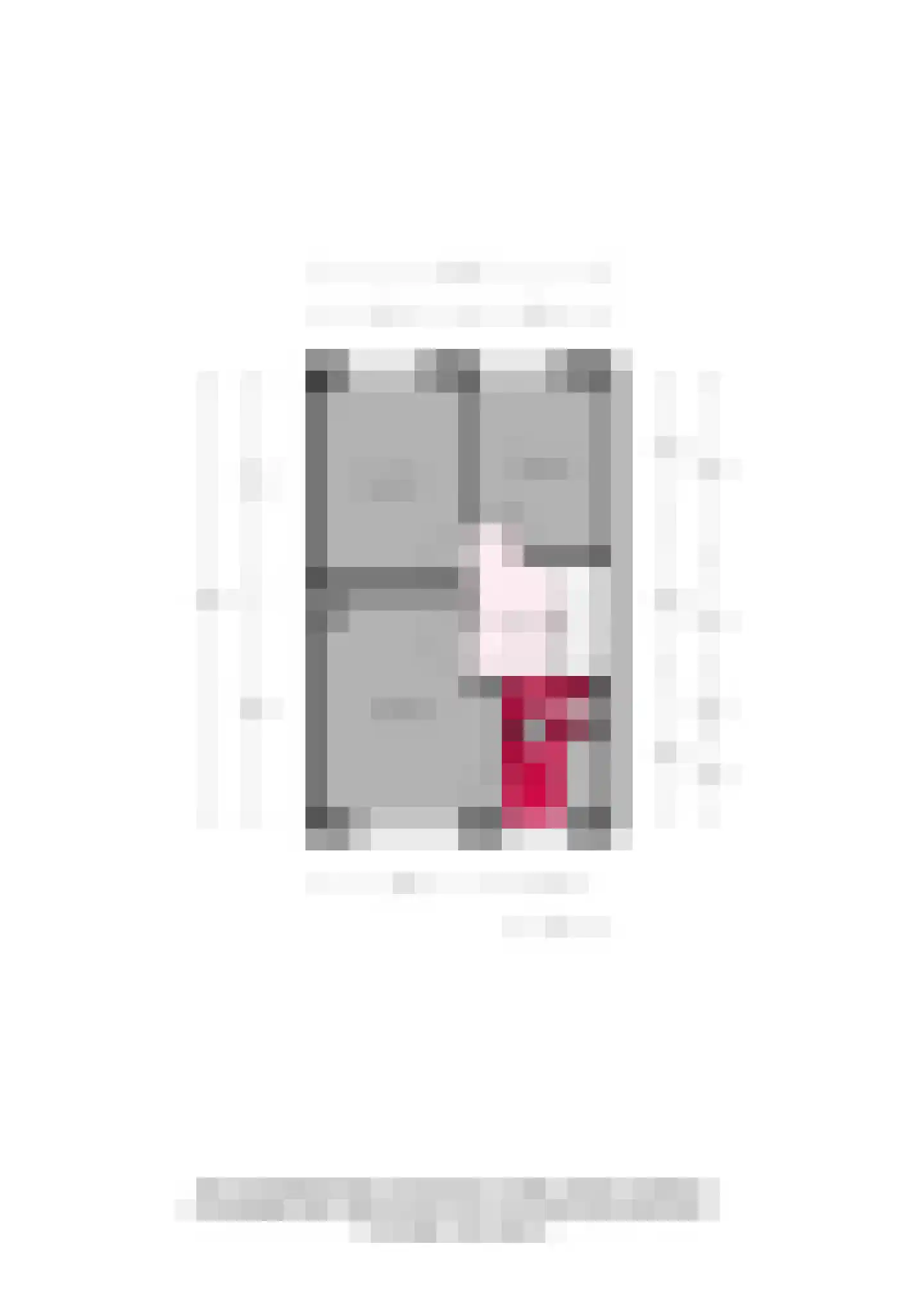 Wendelenkamp 12 Dinxperlo thumbnail 54