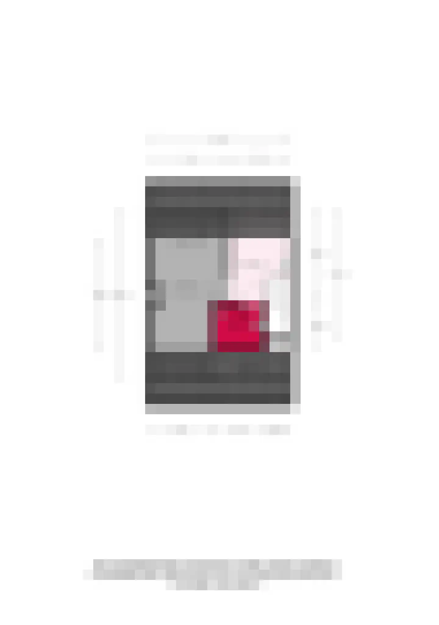 Wendelenkamp 12 Dinxperlo thumbnail 55