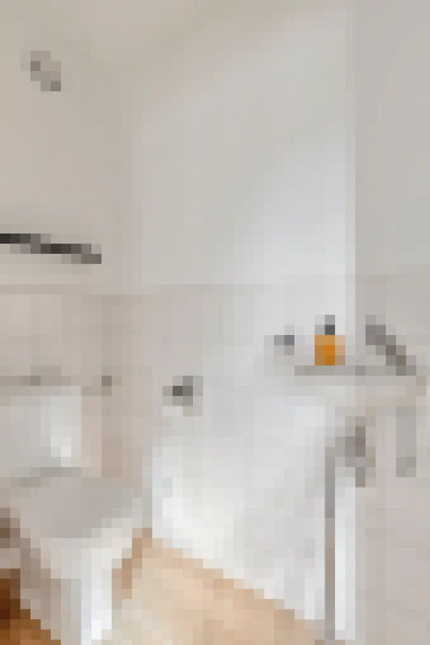 Wendelenkamp 48 Dinxperlo thumbnail 19