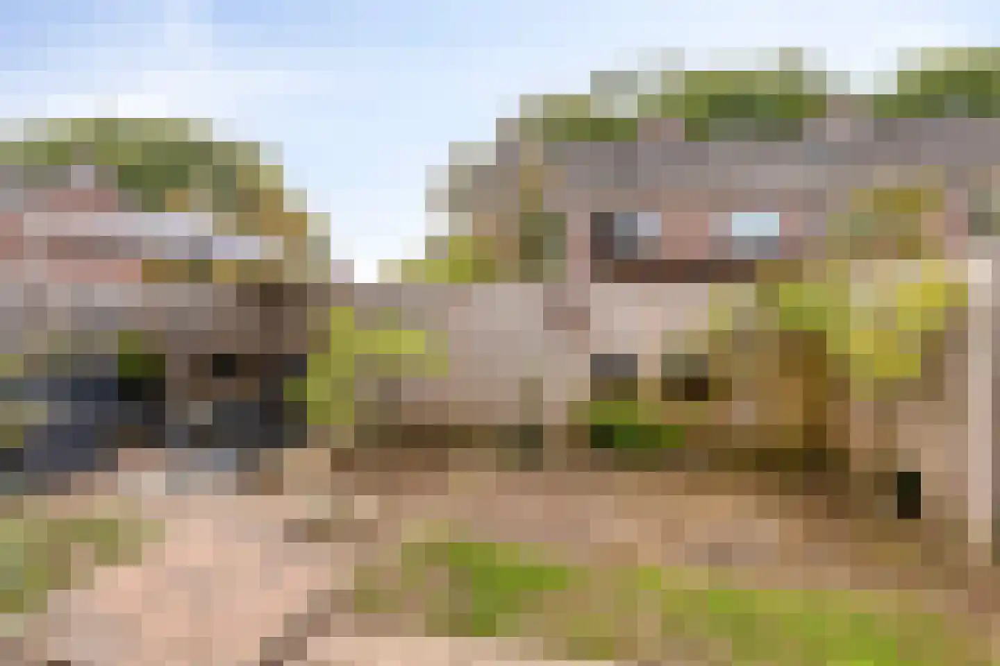 Wendelenkamp 48 Dinxperlo thumbnail 27