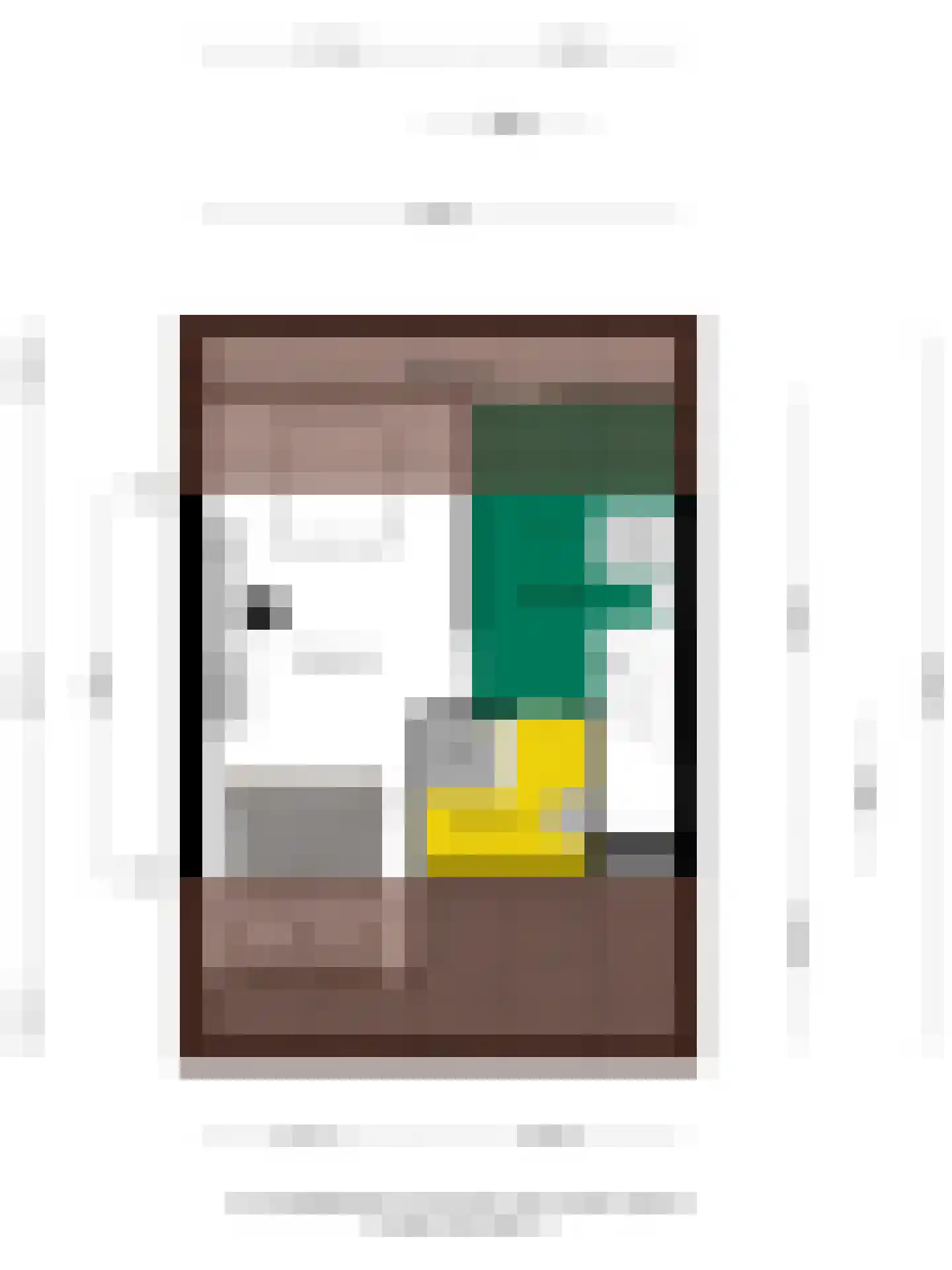 Wendelenkamp 48 Dinxperlo thumbnail 35