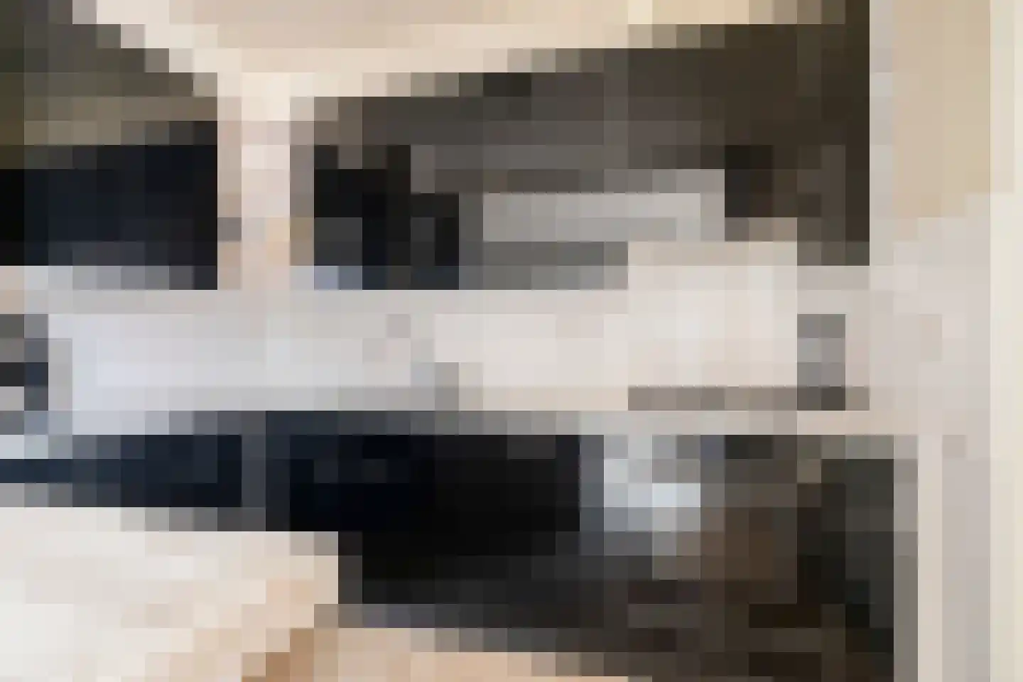 Wendelenkamp 48 Dinxperlo thumbnail 9
