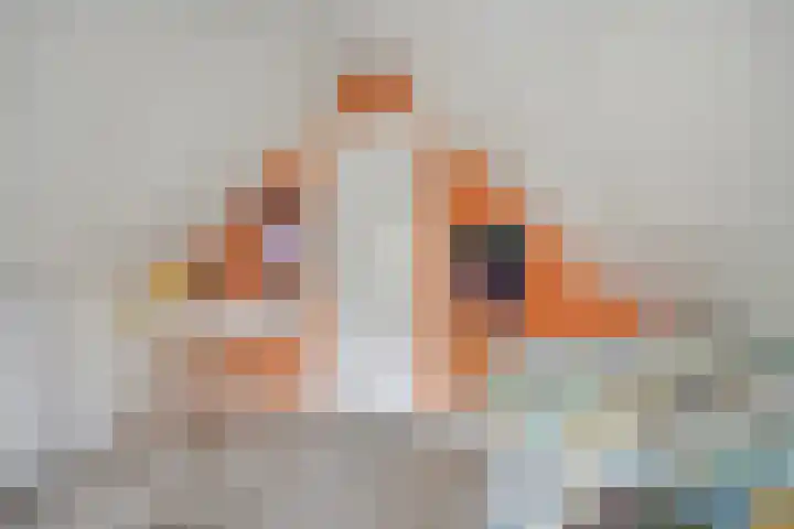 Wendelenkamp 59 Dinxperlo thumbnail 36