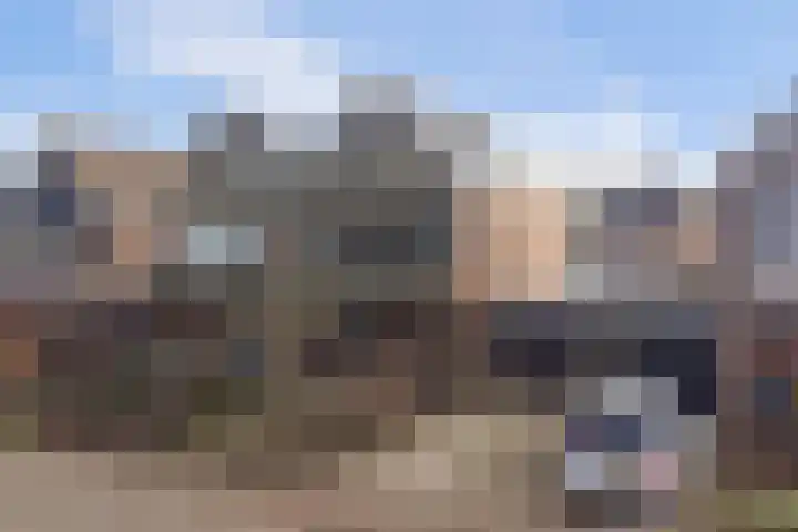 Wendelenkamp 59 Dinxperlo thumbnail 6