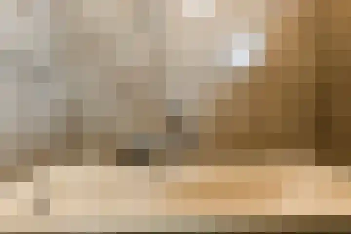 Wendelenkamp 72 Dinxperlo thumbnail 20