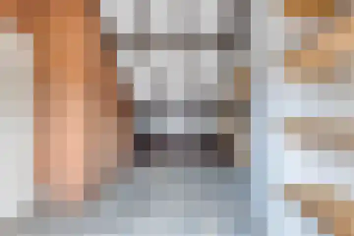 Wendelenkamp 72 Dinxperlo thumbnail 28