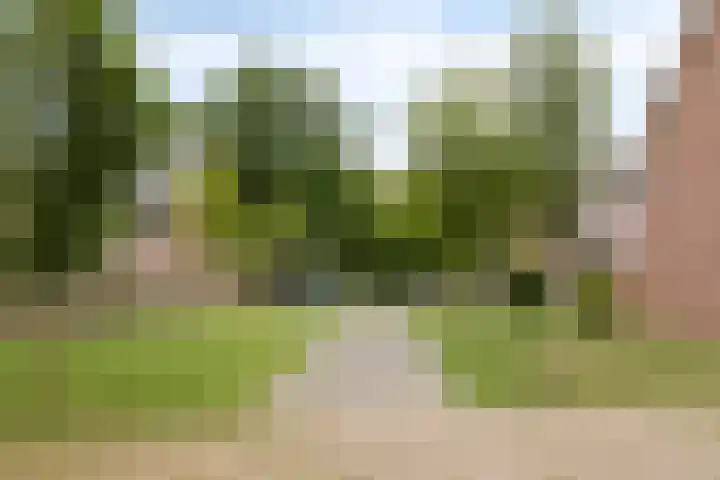 Wendelenkamp 72 Dinxperlo thumbnail 31