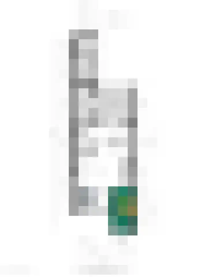 Wendelenkamp 72 Dinxperlo thumbnail 33
