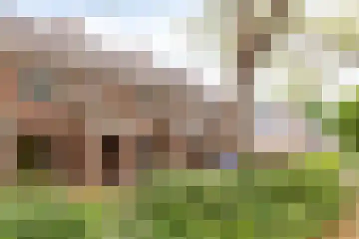 Wendelenkamp 72 Dinxperlo thumbnail 4