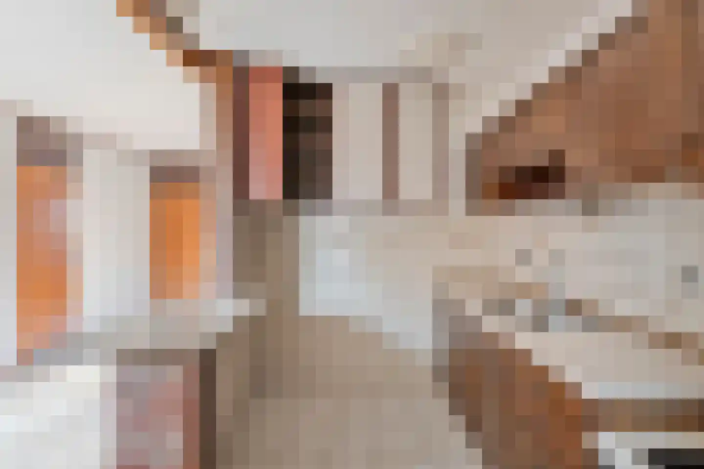 Wendelenkamp 82 Dinxperlo thumbnail 19