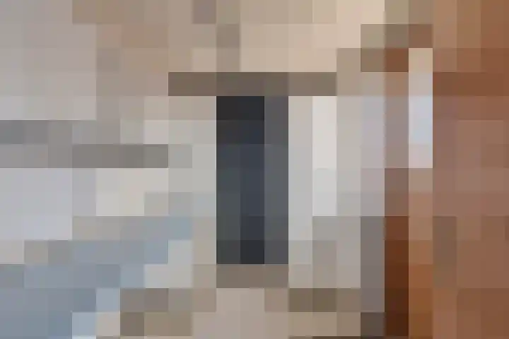 Wendelenkamp 82 Dinxperlo thumbnail 20