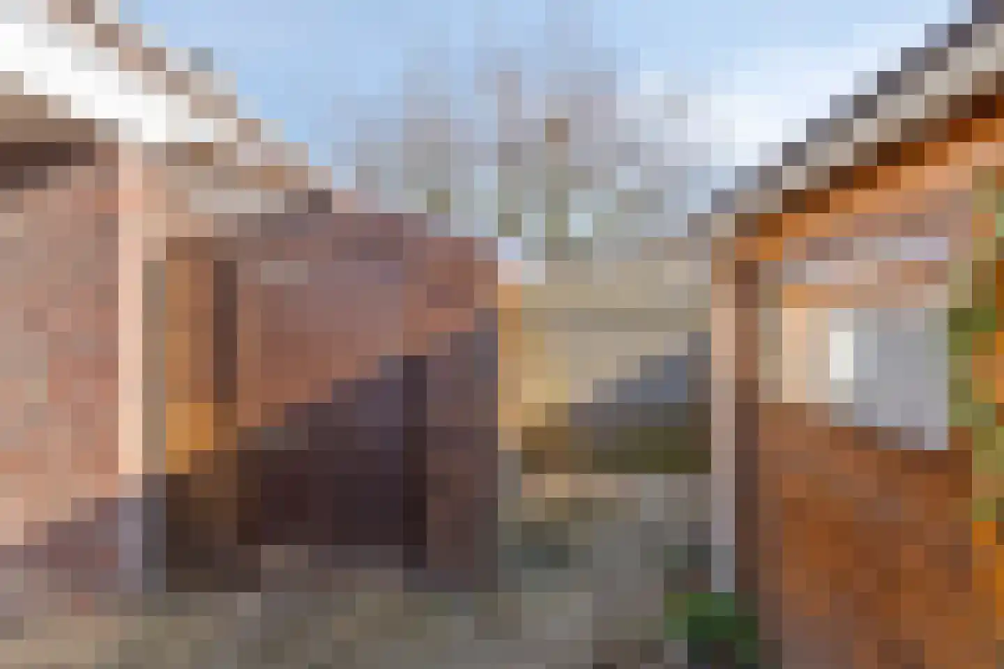 Wendelenkamp 82 Dinxperlo thumbnail 39