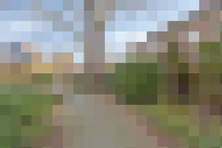 Wendelenkamp 82 Dinxperlo thumbnail 4