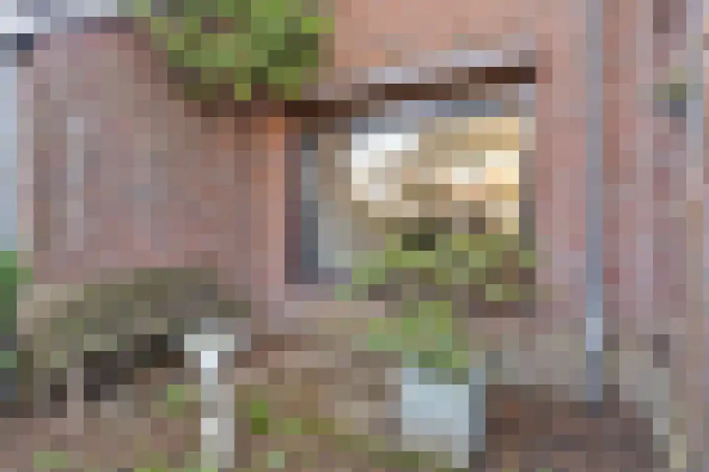 Wendelenkamp 82 Dinxperlo thumbnail 5