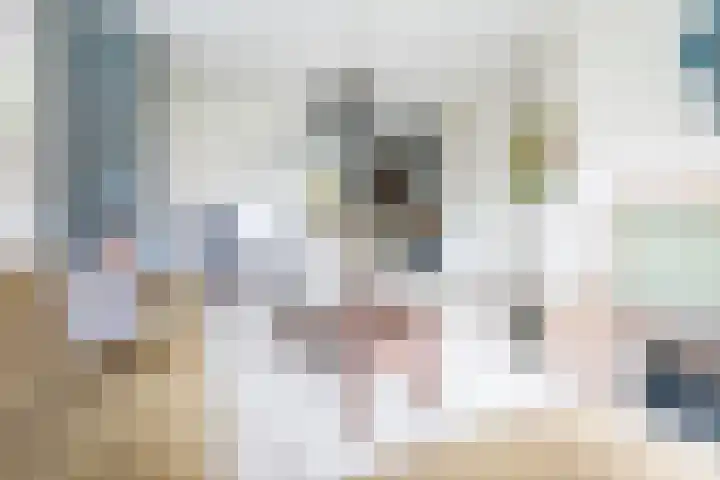 Wendelenkamp 86 Dinxperlo thumbnail 13