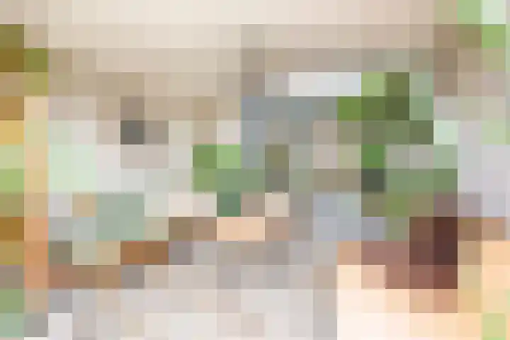 Wendelenkamp 86 Dinxperlo thumbnail 21