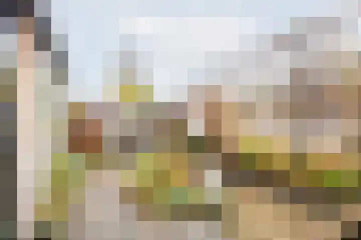 Wendelenkamp 86 Dinxperlo thumbnail 47