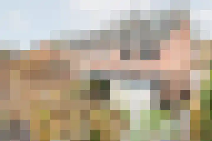 Wendelenkamp 86 Dinxperlo thumbnail 53