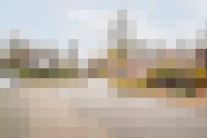 Wendelenkamp 86 Dinxperlo thumbnail 58