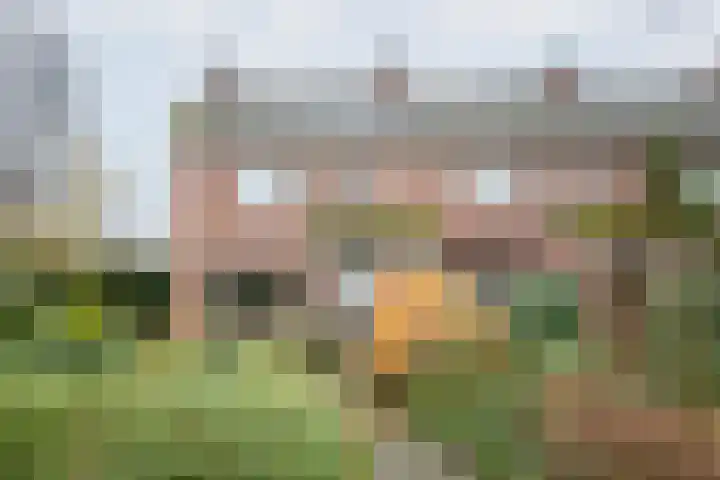 Wendelenkamp 86 Dinxperlo thumbnail 6
