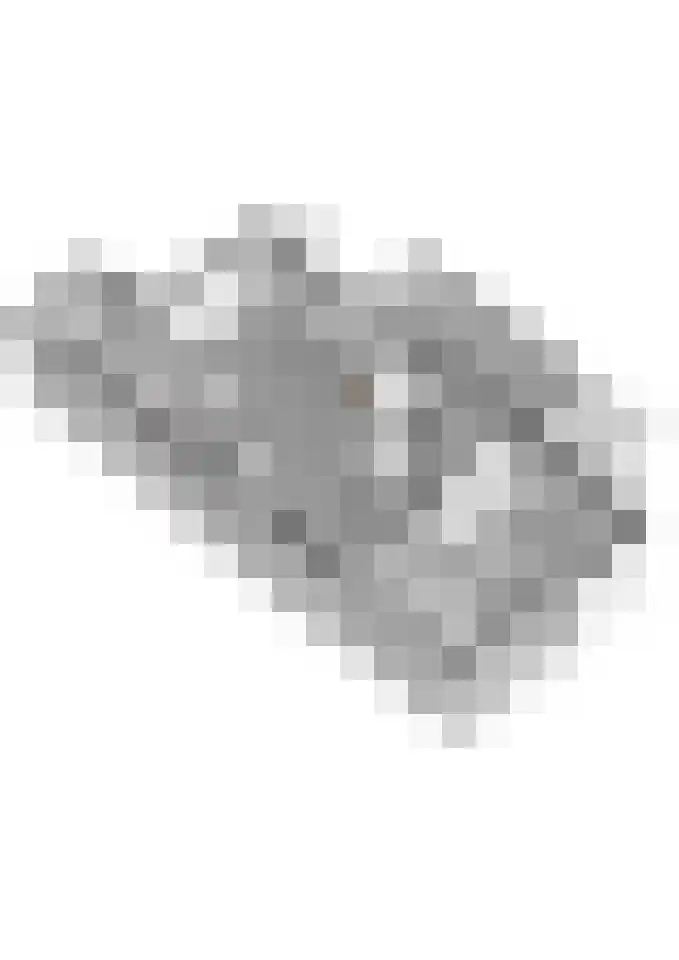 Wendelenkamp 86 Dinxperlo thumbnail 64