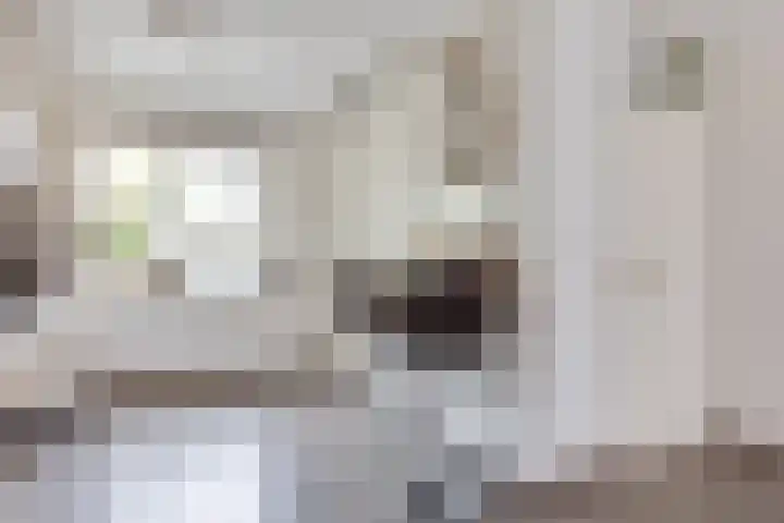 Wendelenkamp 93 Dinxperlo thumbnail 10