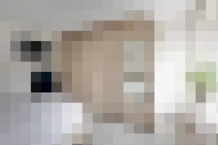 Wendelenkamp 93 Dinxperlo thumbnail 12