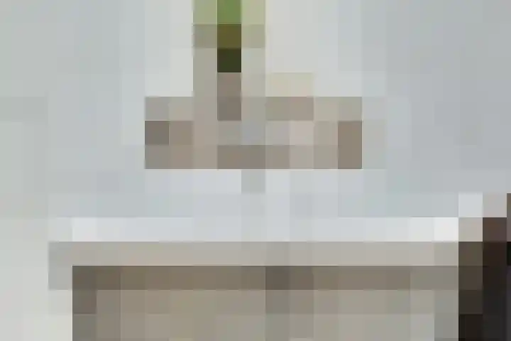 Wendelenkamp 93 Dinxperlo thumbnail 17