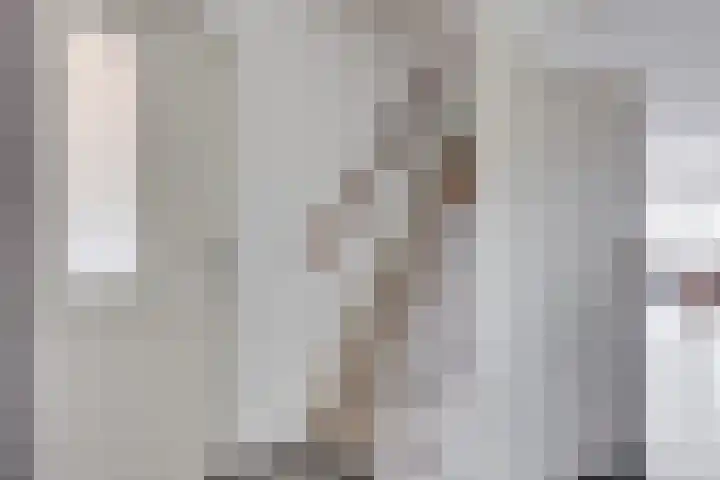 Wendelenkamp 93 Dinxperlo thumbnail 21