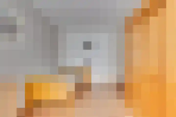 Wendelenkamp 93 Dinxperlo thumbnail 24