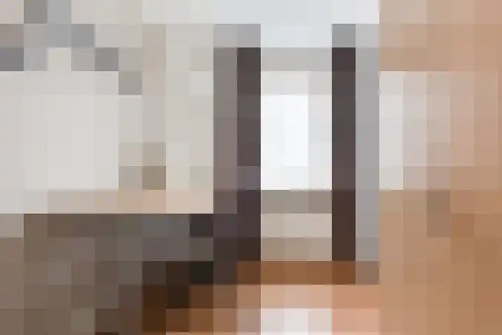 Wendelenkamp 93 Dinxperlo thumbnail 25