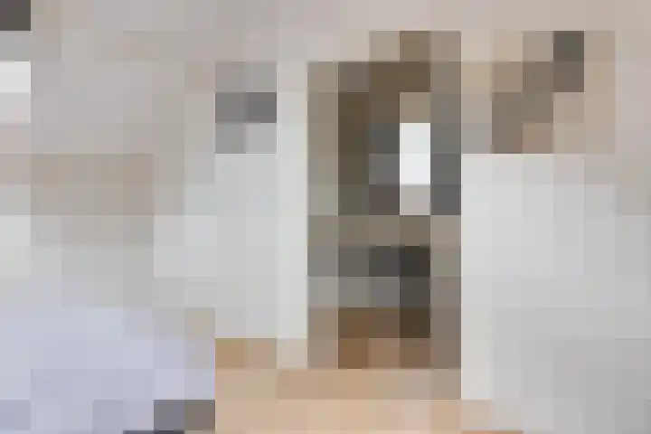 Wendelenkamp 93 Dinxperlo thumbnail 30