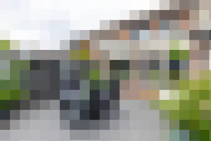 Wendelenkamp 93 Dinxperlo thumbnail 36