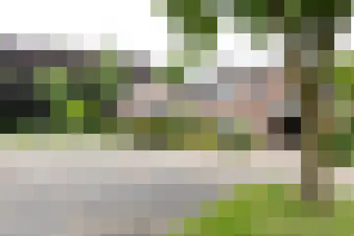 Wendelenkamp 93 Dinxperlo thumbnail 4