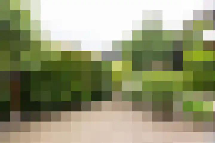 Wendelenkamp 93 Dinxperlo thumbnail 40