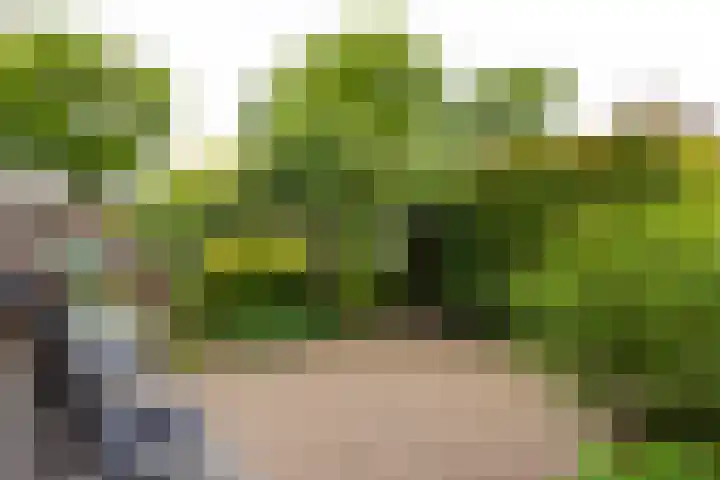 Wendelenkamp 93 Dinxperlo thumbnail 41